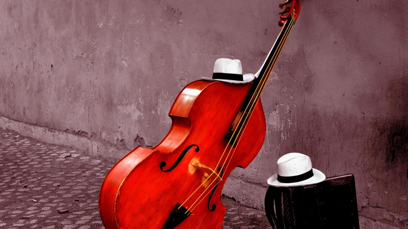 string instrument, day, no people, wall, double bass, high angle view, arts culture and entertainment, hats, string, music, violin, musical instrument
