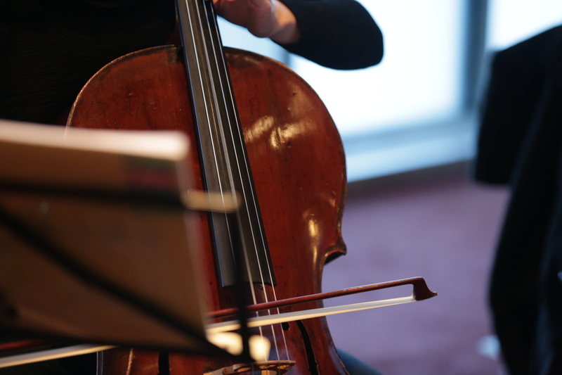 double bass, skill, musical instrument string, artist, selective focus, human body part, one person, arts culture and entertainment, human finger, bow - musical equipment