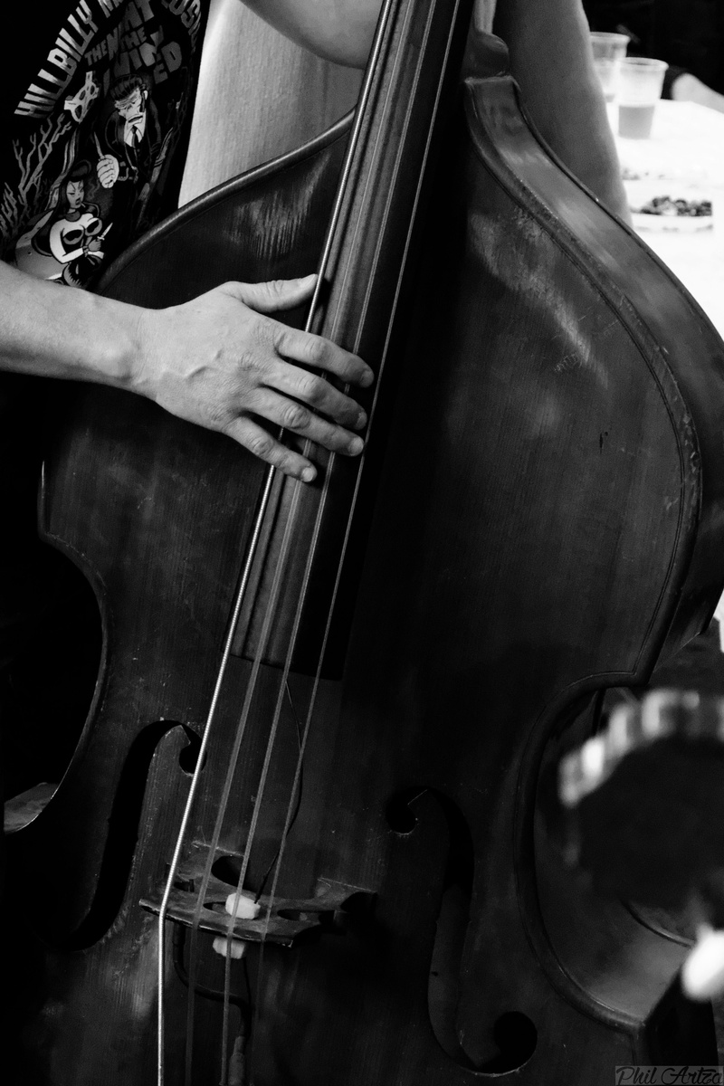 skill, hand, musician, music, concert, performance, arts culture and entertainment, string instrument, musical instrument, human hand, one person, musical equipment