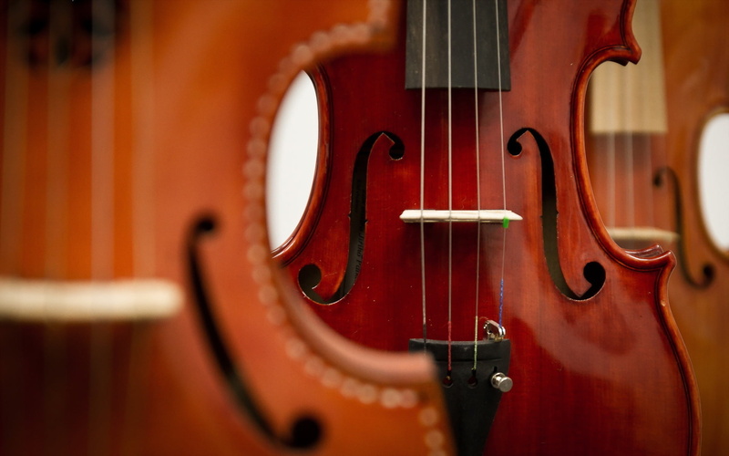 macro, selective focus, arts culture and entertainment, bow - musical equipment, double bass, string instrument, 1080P, violin, music, close-up, brown