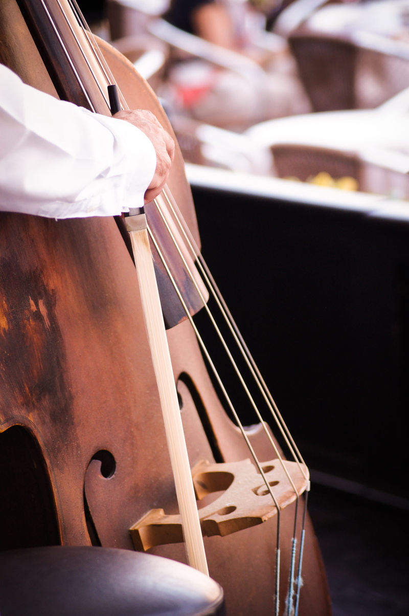 brown, song, one person, instrument, venice, incidental people, musician, wooden, finger, artist, metropolitan city of venice, musical instrument, hand
