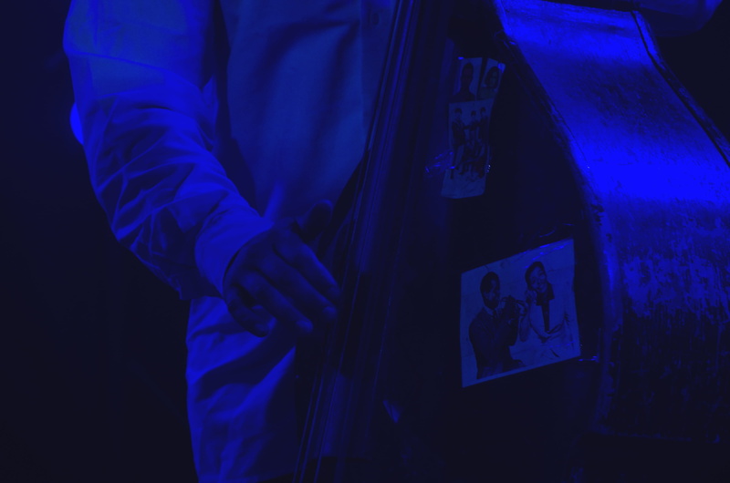 contrabass, strings, music, holding, technology, musician, jazz, studio shot, blue, fun, occupation, human hand, nightlife, front view, 2K, hand, finger