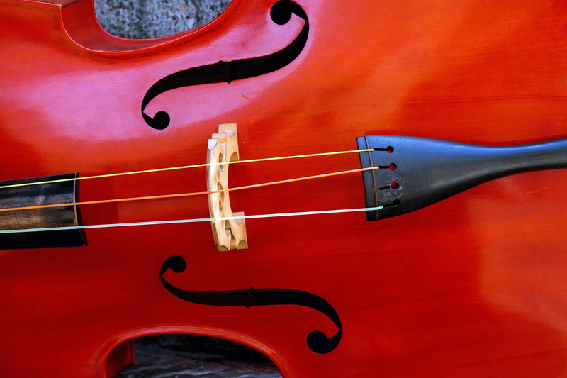 stringed, studio shot, close-up, no people, musical instrument string, backgrounds, string instrument, indoors, single object, brown, musical instrument