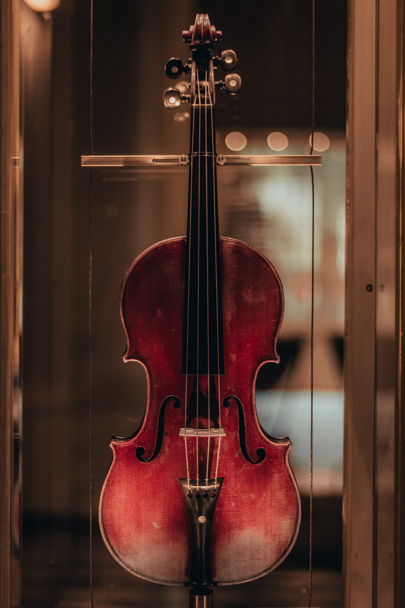 electric guitar, interior design, string, graphics, art, cello, close-up, piano, antique, musical instrument string, violin, leisure activities, string instrument