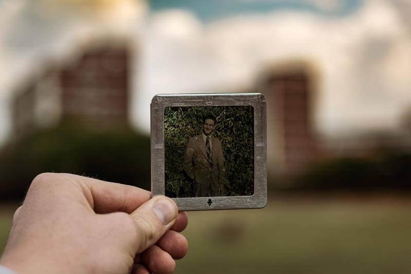focus on foreground, electronics, tie, outdoors, plant, photoframe, vintage, wireless technology, tomb, technology, close-up, body part, nature, photography