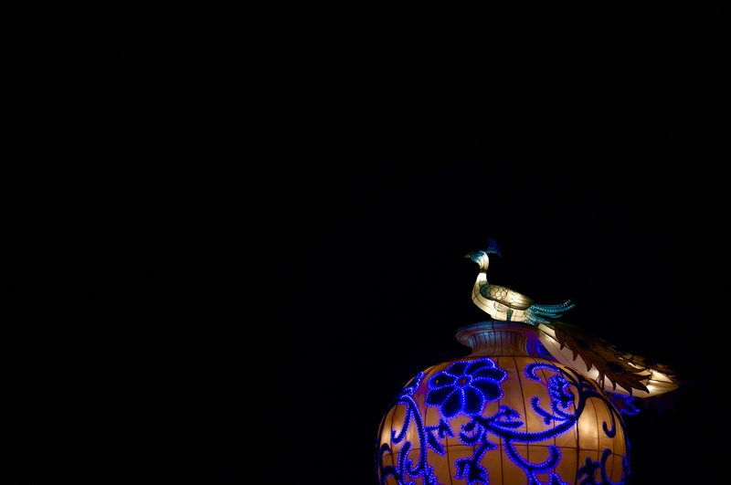 building, arts culture and entertainment, blue, illuminated, path, bird, black background, peacock, 4K, leisure activities, darkness, jay, copy space