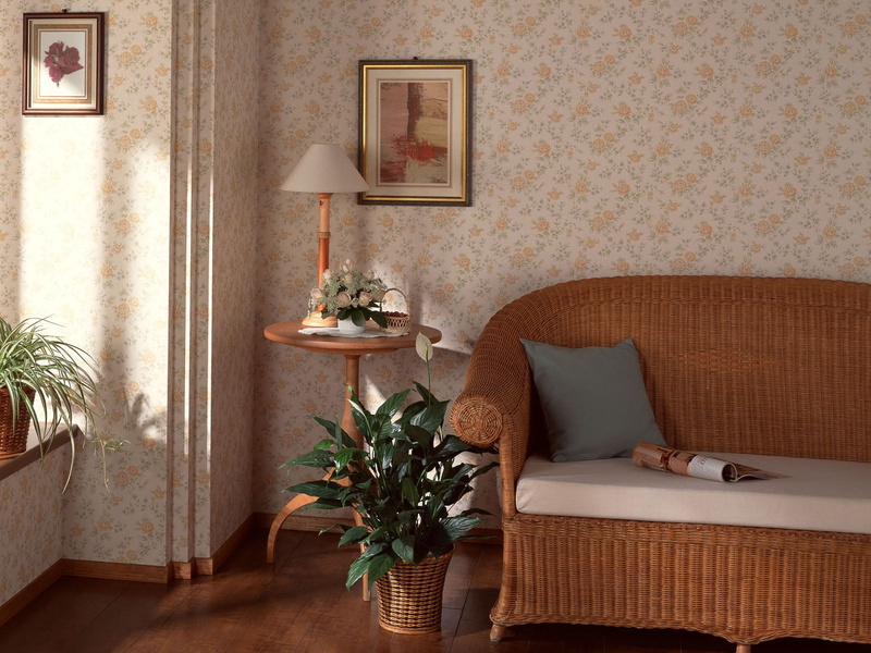 domestic Room, plant, absence, wall - Building Feature, design, picture frame, wood - Material, couch, electric Lamp, 720P, house, decor, retro Styled