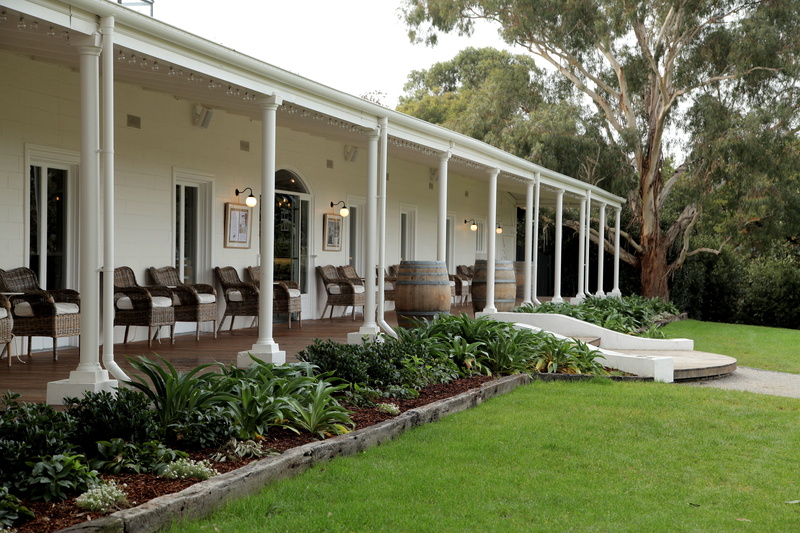 tree, lawn, grass, no people, architecture, luxury, front or back yard, plant, gallery, potted plant, growth, day, courtyard, built structure, winery, outdoors