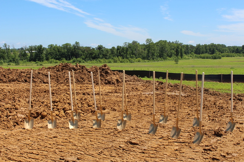 sky, sunlight, growth, field, 2K, dirt, no people, plant, outdoors, breaking, ground, groundbreaking, animal themes, land, farm, shovel, development, group of animals