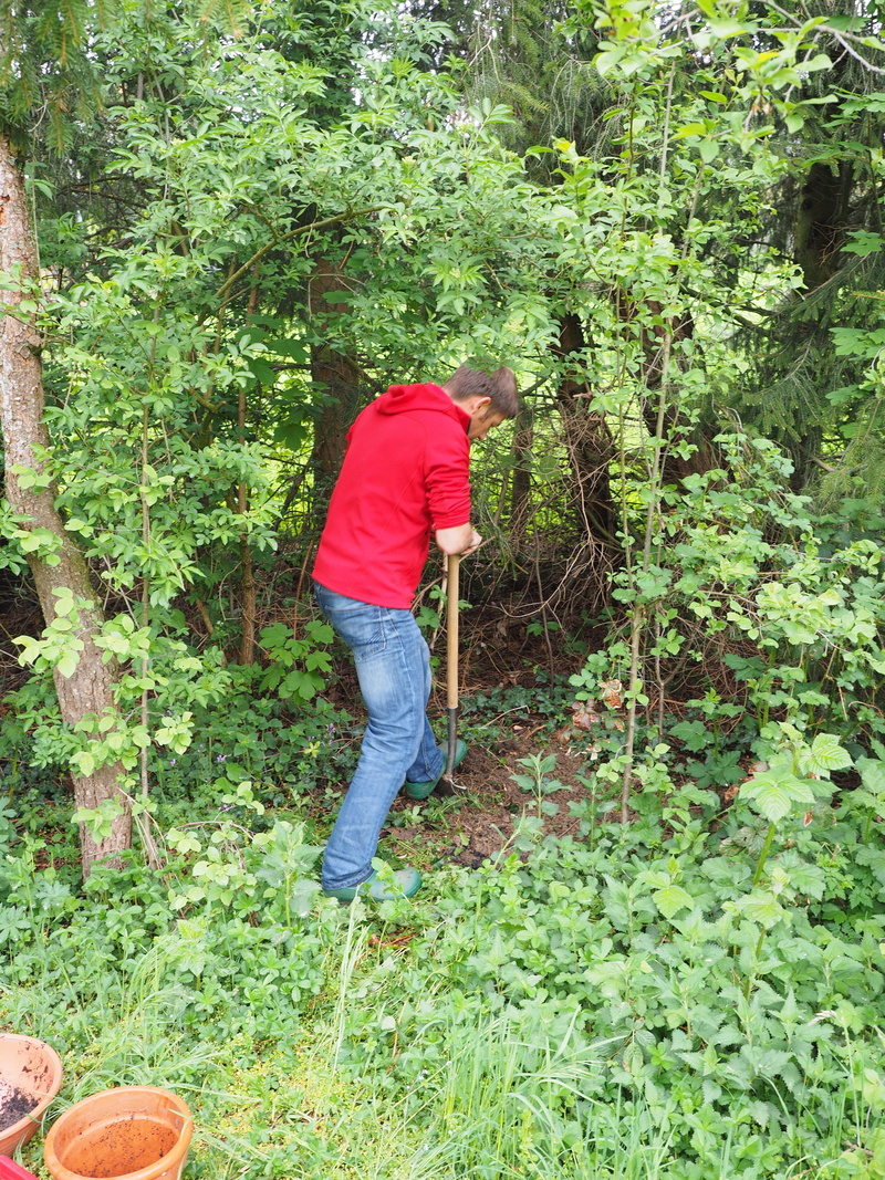 Hole, leisure activity, walking, casual clothing, tree, nature, growth, Spade, green color, exhausting, landscape gardener, plant, forest, outdoors, nursery