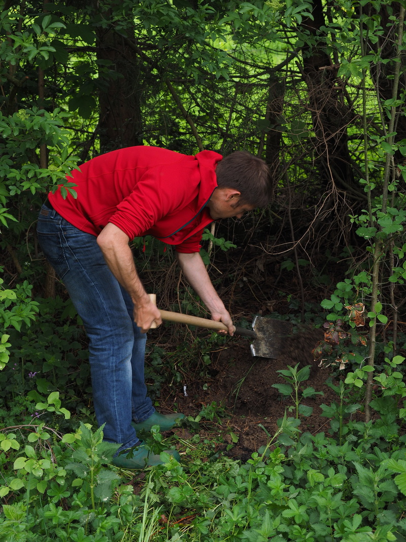 leisure activity, people, earth, tree, spade, hole, full length, young adult, gardener, working, outdoors, ground breaking ceremony, forest, gardening