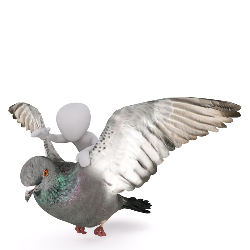 model, white male, 3d man, dove, Isolated, animals in the wild, 3D, bird, white background, clear sky, white, person, animal wildlife, pigeons in flight