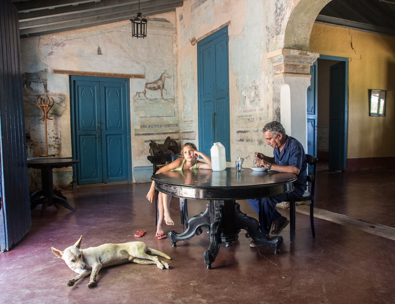 4K, Tired, business, heterosexual couple, domestic animals, dog, two people, Cuba, mature men, Lunch, sitting, mature adult, canine, males, mammal, men