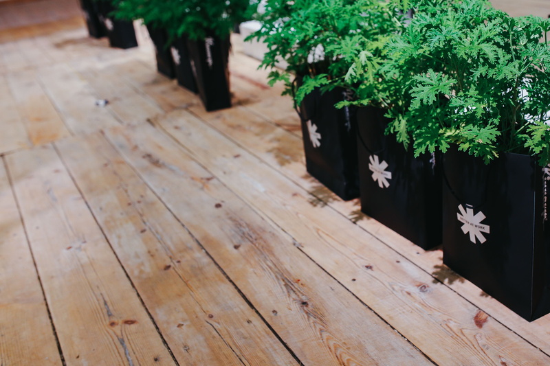 flooring, no People, wood - Material, communication, potted plant, architecture, exhibition, day, focus on foreground, nature, design, 4K, installation