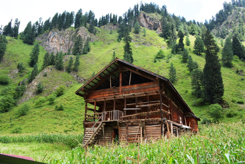 green, green color, grass, building exterior, 4K, day, kashmir, landscape, plant, land, cottage, forest, wood - material, growth, tranquility, sweet wooden home