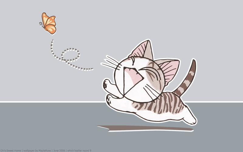 drawn, chi 039 s, chi, 1080P, home, cats, sweet