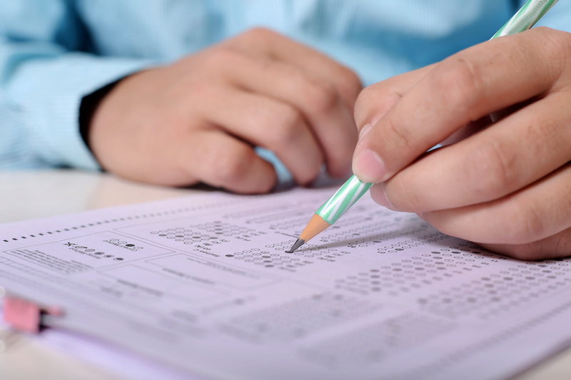 desk, work, offspring, child, man, picture, business, person, learning, human body part, office, education, childhood, table, educate, hand, midsection