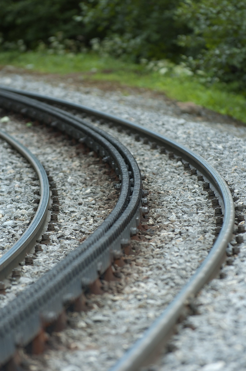 public transportation, direction, plant, metal, traveling, outdoors, travel, curve, rack and pinion, rail transportation, track, railroad tie, focus on foreground