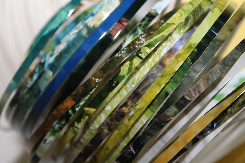 vegetable, multi colored, cuts, no people, food and drink, store, food, business, healthy eating, close-up, technology, group of objects, industry, selective focus
