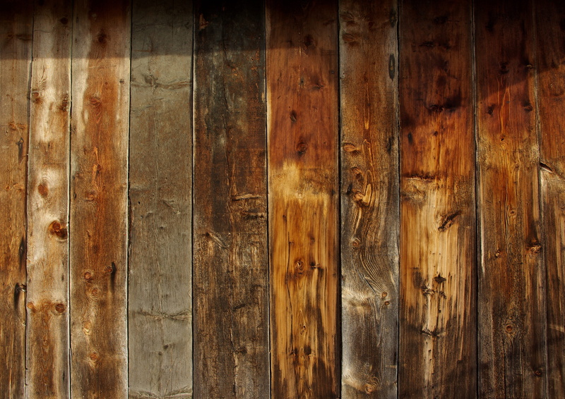 cross section, door, pattern, natural, wood, wood - material, background, no people, rings, day, flooring, board, wood grain, plank, backgrounds, full frame