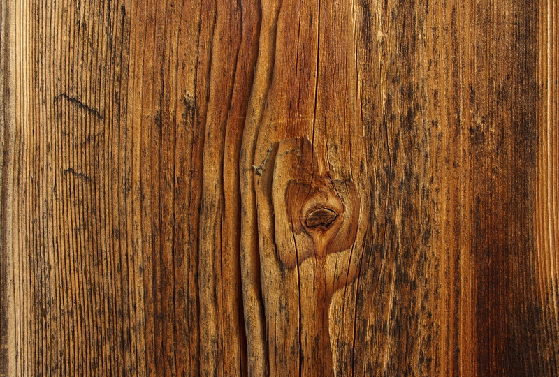 day, material, brown, 5K, Board, timber, closeup, rough, Surface, knotted wood, tree, background, textured, carving, wood grain, cut out, cross section