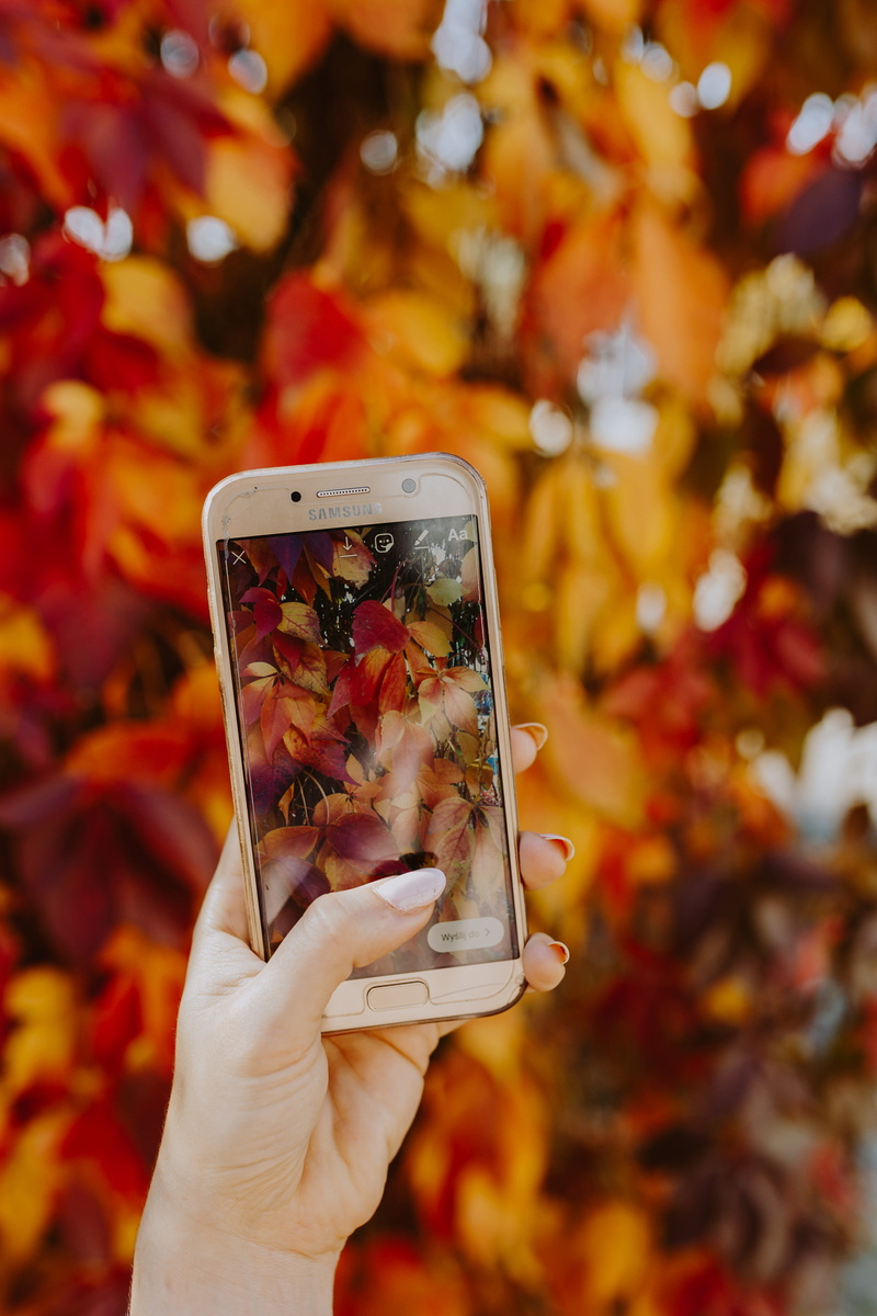 finger, photographer, mobile, orange, real people, 4K, blogger, samsung, close-up, android, outdoors, photographing, holding, leisure activity, focus on foreground
