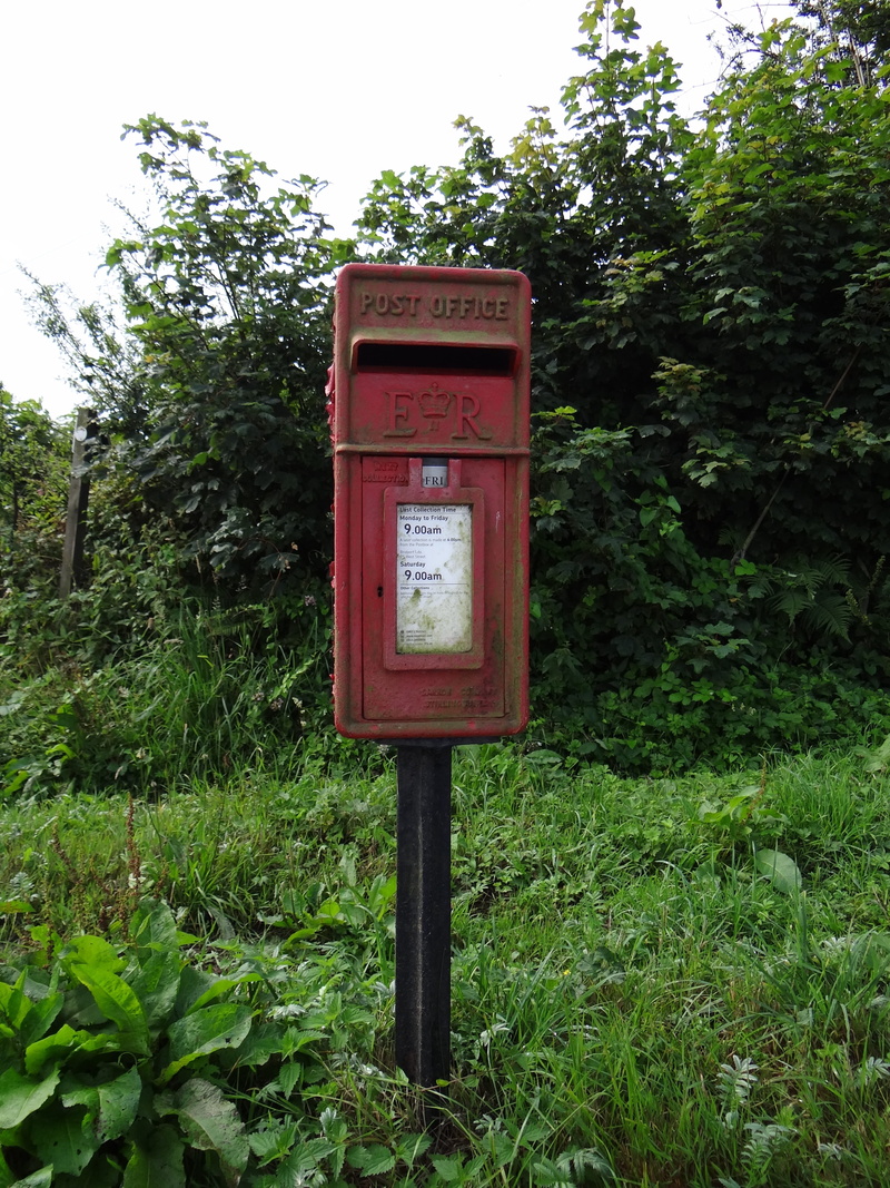 communication, plant, text, england, western script, mailbox, letter boxes, green color, post, grass, land, tree, letters, day, nature, 4K, red, outdoors