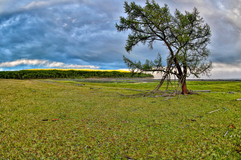 grass, sky, green color, growth, non-urban scene, field, scenics - nature, fax lake, tranquil scene, plant, 5K, tree, beauty in nature, no people, morning