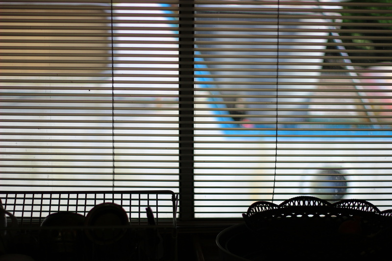 chair, window, restaurant, horizontal, day, nature, seat, indoor, texture, architecture, glass - material, window blinds, blind, table, shade, 5K, furniture