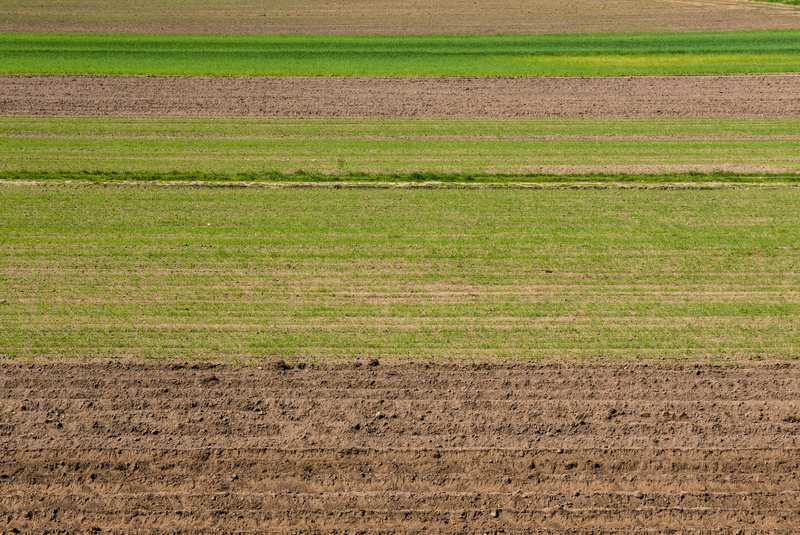 ground, stripe, brown, farming, countryside, soil, outdoors, grass, beauty in nature, field, outdoor, mud, tranquil scene, culture, farm, cultivation, plant