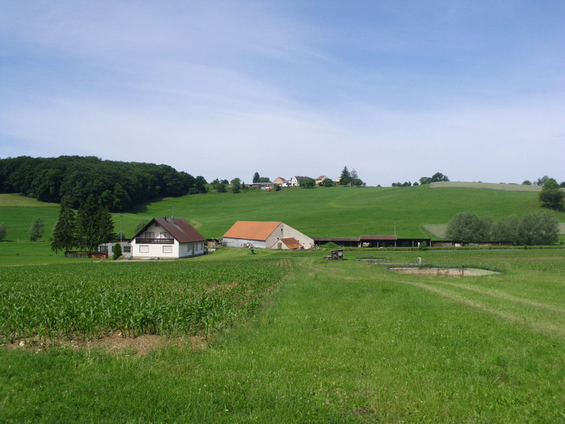 field, architecture, countryside, outside, country, equipment, scenics, farm, green Color, woods, plant, nature, Landscape, Germany, growth, fields, no people