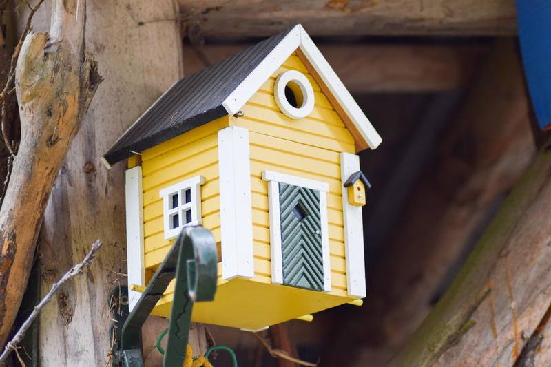 wall - building feature, residential district, day, window, security, nesting box, wood - Material, low angle view, built structure, birdhouse, outdoors