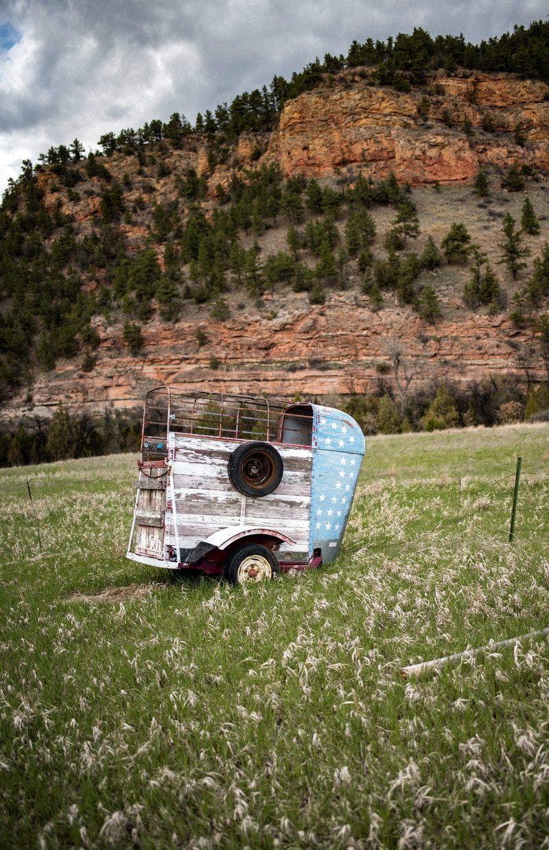 tree, field, landscape, plant, fir, spoke, abies, grassland, countryside, 5K, mode of transportation, obsolete, outdoors, machine, caravan, green color