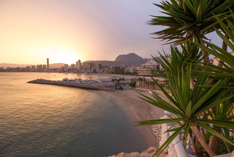 building exterior, water, tree, benidorm, spain, evening, 4K, travel destinations, houses, skyscapers, sky, sea, palms, resort, outdoors, palm tree, nature