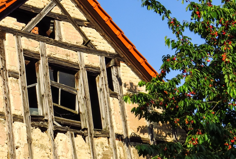 sunlight, window, truss, architecture, outdoors, low angle view, wood - material, cherry, house, old, no people, building, day, nature, building exterior
