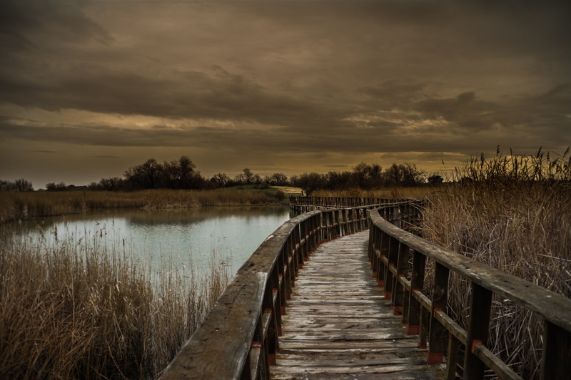 brown, no people, photography, dock, vegetation, natural, solo, drought, the tables, pier, boardwalk, duck, laguna, cloud - sky, scenics - nature, tranquility