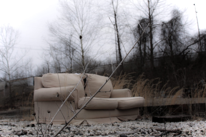 plant, bare tree, cold temperature, scenics - nature, 4K, despolation, non-urban scene, snow, couch, armchair, outdoors, day, branch, no people, abandonded