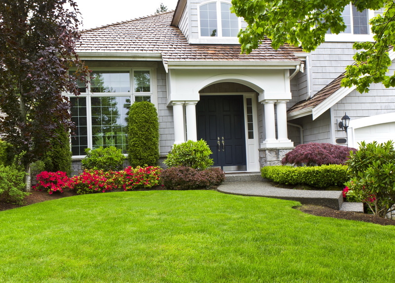 greens, branches, growth, home Ownership, nature, formal Garden, luxury, green Color, architecture And Buildings, modern, no People, day, built Structure