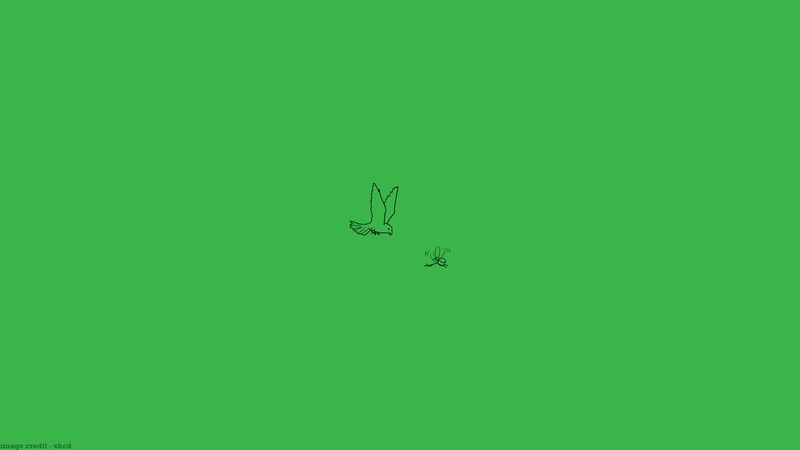 nature, xkcd s, colored background, cut out, studio shot, copy space, air vehicle, indoors, day, transportation, no people, low angle view, single object