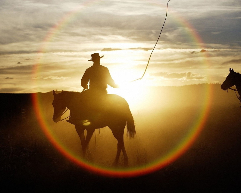 animals, art, hd, sunset, cowboys, horses, 720P
