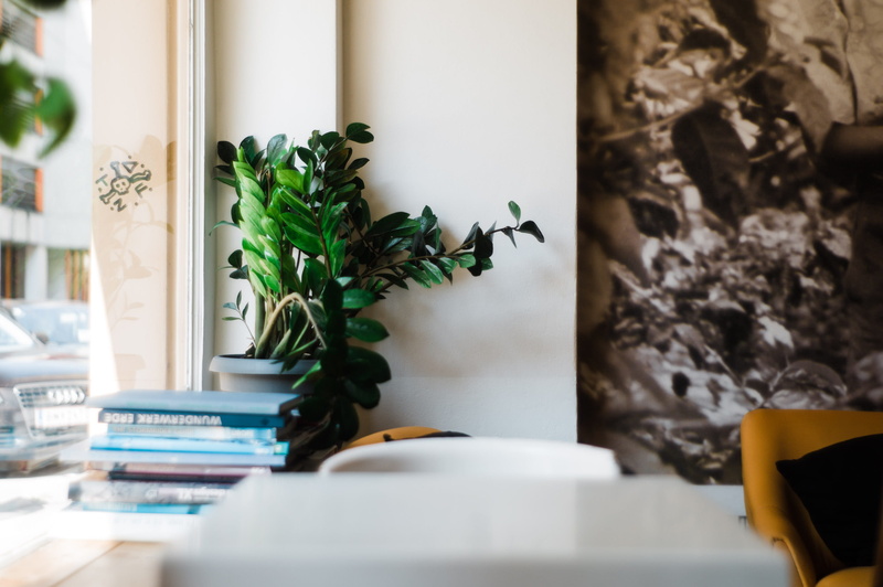 houseplant, decoration, green color, automobile, selective focus, table, leaf, text, paper, beauty in nature, home decor, vehicle, indoors, potted plant