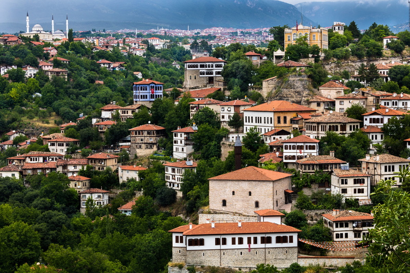 tree, house, classic, town, safranbolu, window, old, cityscape, townscape, city, plant, travel destinations, architecture, nature, roof, residential district