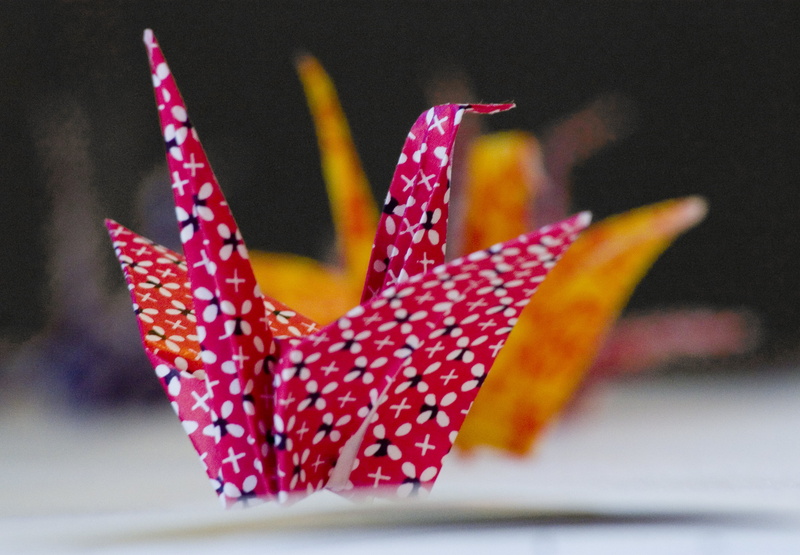 Japan, crane, photography, paper, England, focus, 2K, paper crane, paper  folding, Brighton University, red, bird, decoration, Cranes, UK, selective focus