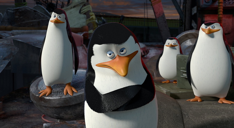 cartoon, comedy, penguin, penguins, 2K, animation, madagascar, adventure, family