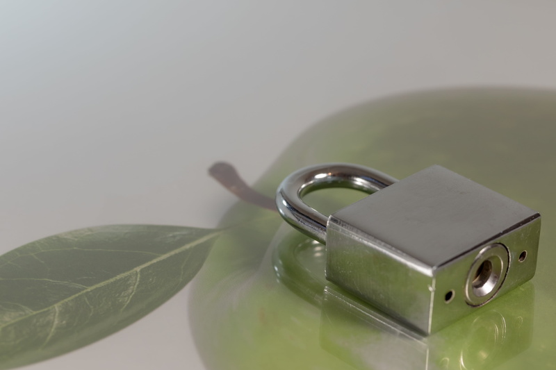 lockable, wireless technology, locks to, security, copy space, green color, technology, close-up, padlock, security lock, castles, shut off, sure, safety