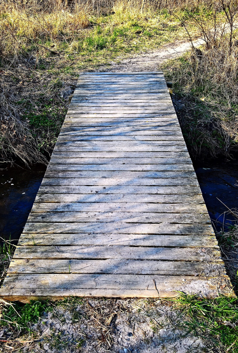 wood, nature, land, sunlight, landscape, tree, wooden boards, 4K, fixed, the way forward, sure, boardwalk, surface level, direction, web, trail, day, high angle view