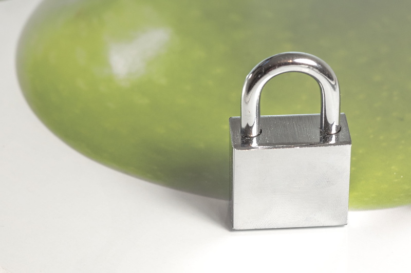 still life, lockable, studio shot, safety, cut out, no people, closed, protection, padlock, capping, explosive, castle, indoors, connection, castles, security system