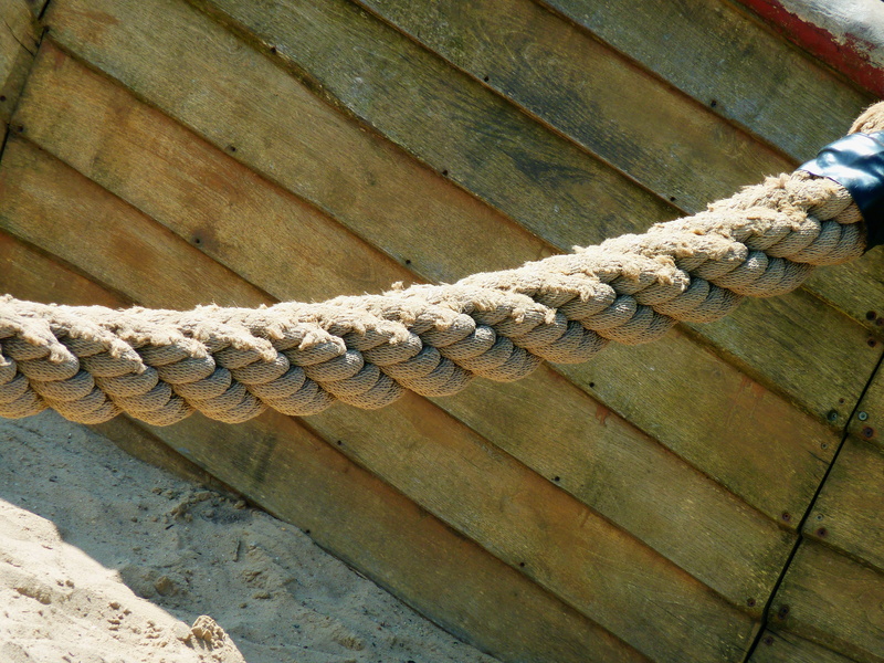 knotted, wood - material, animal wildlife, fixing, close-up, animals in captivity, Fix, snake, high angle view, pattern, day, no people, dew, outdoors