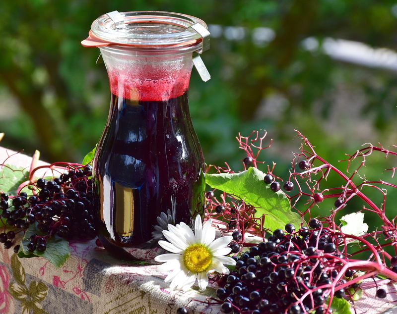 leaves, fruits, berry, scrub, elder, focus, close-up, autumn, bush, flower, 4K, container, jar, focus on foreground, lilac berries, umbel, black elderberry