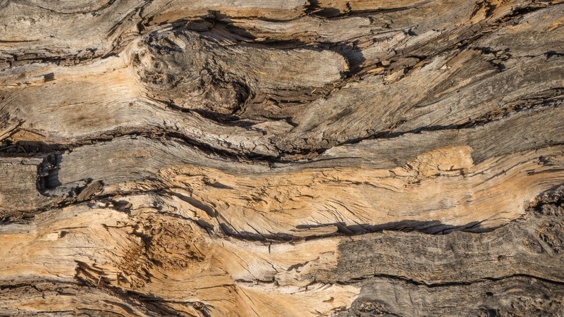 design, layer, tree, no people, material, rough, grain, close-up, arid climate, geology, stump, beauty in nature, climate, trunk, outdoors, background